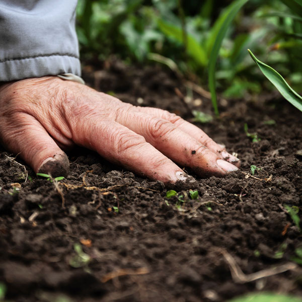 man's hand on soil