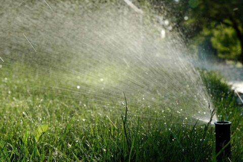 Lawn Watering