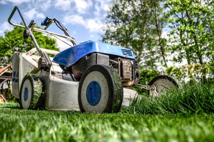 Grass Cutting Machine