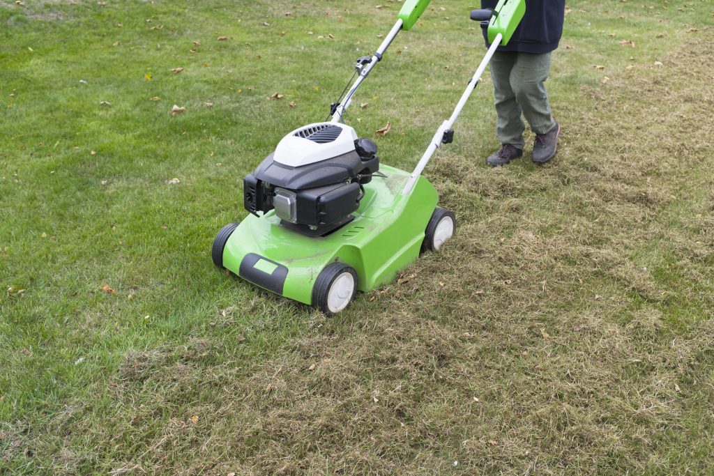 Person walking behind dethatching machine