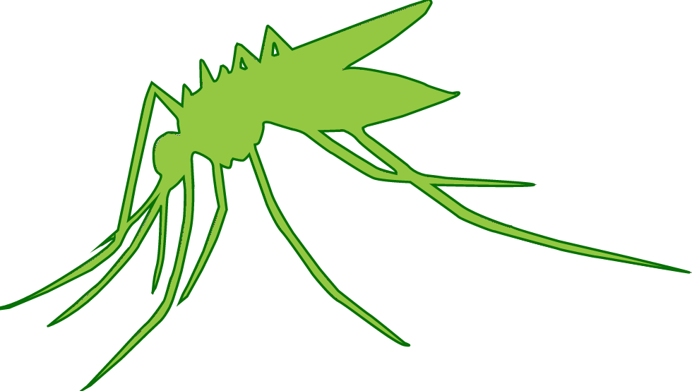 mosqutio green (1)