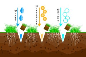 Lawn Aeration Illustration