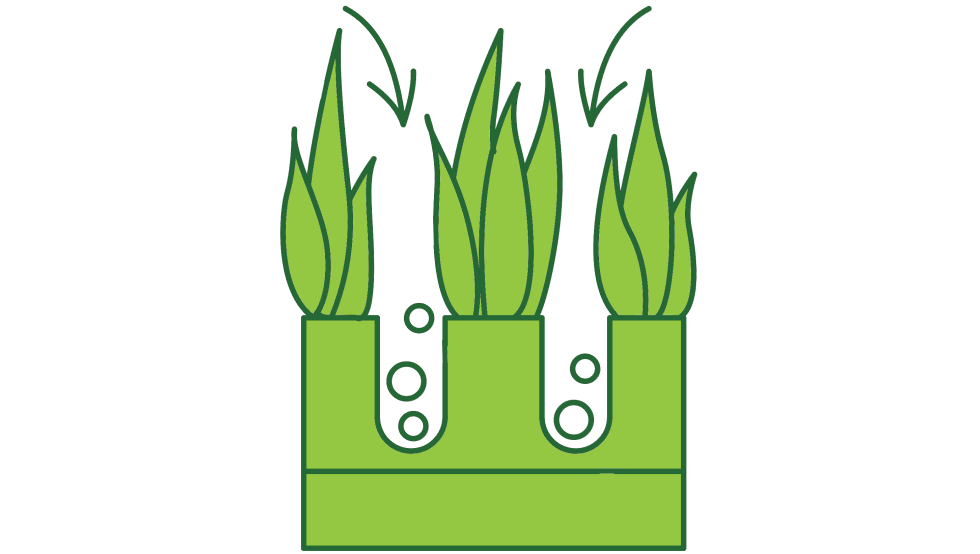 aeration_overseed_icon